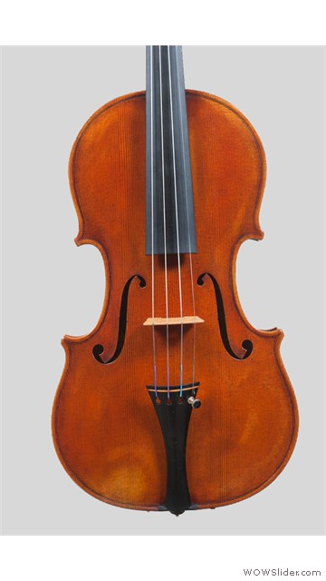 Violino Leone_1