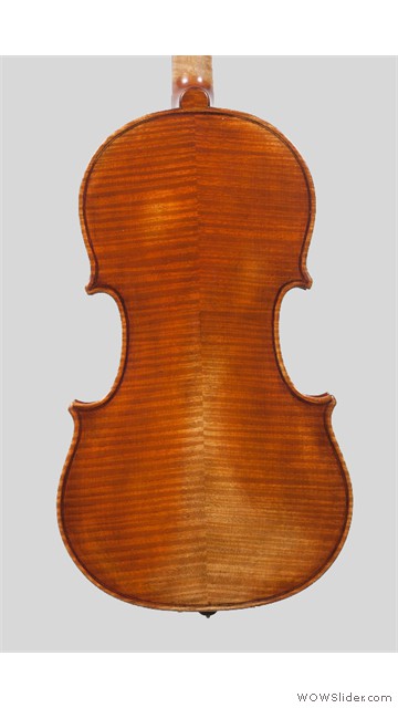 Violino Leone_2
