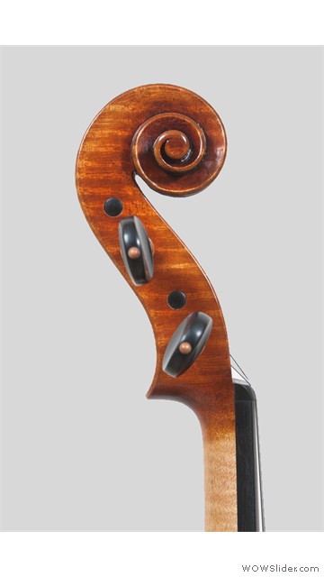 Violino Leone_3