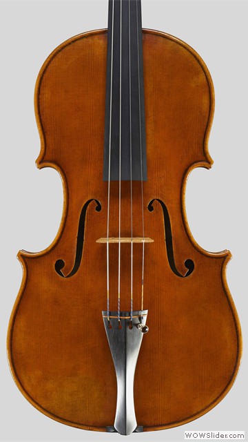 Viola_1
